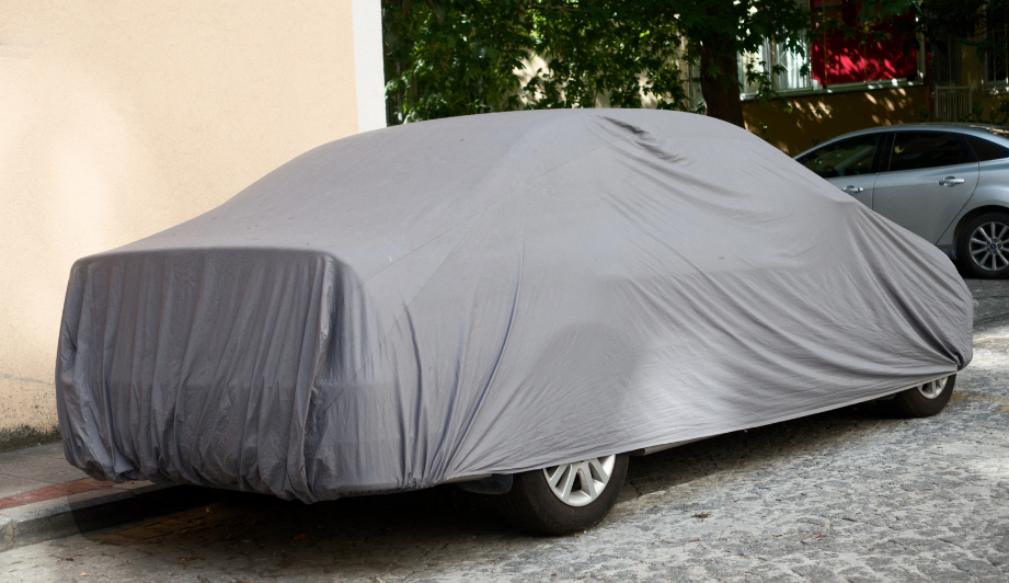 Car Covered by cover